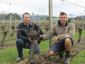 trellis trial|Research Services for Project Success .